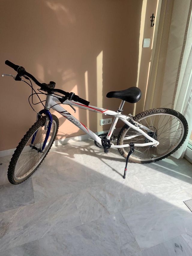 Bicicleta adulto