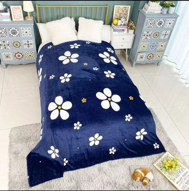 MANTAS POLAR 180X220