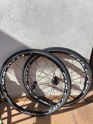 CABRA TRIATLÓN SCOTT PLASMA 