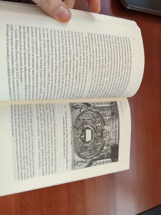 Medicina y sociedad en la europa de 1500