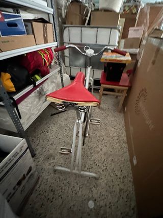 Bici estatica BH antigua