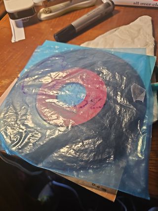 Vinil é tão linda a nossa terra