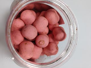 Wafters Carpfishing pesca 