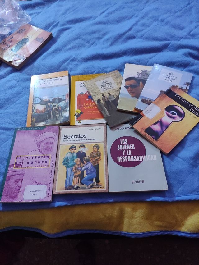 Libros juveniles varios