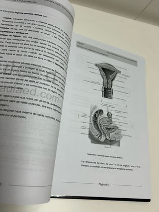 Curso TÉCNICO EN FARMACIA Y PARAFARMACIA