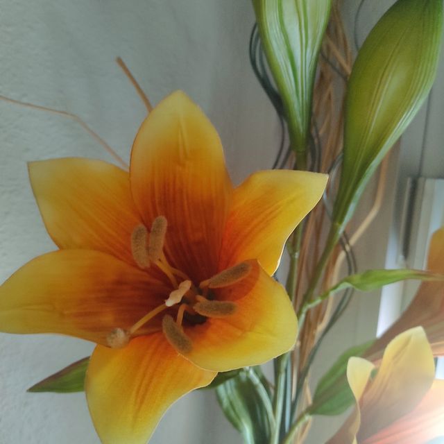 Flores decorativas de plástico 