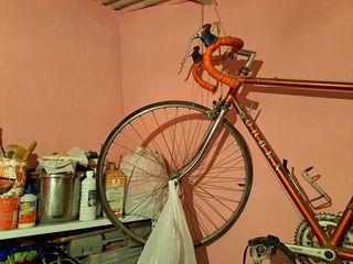 Bicicleta orbea vintag 