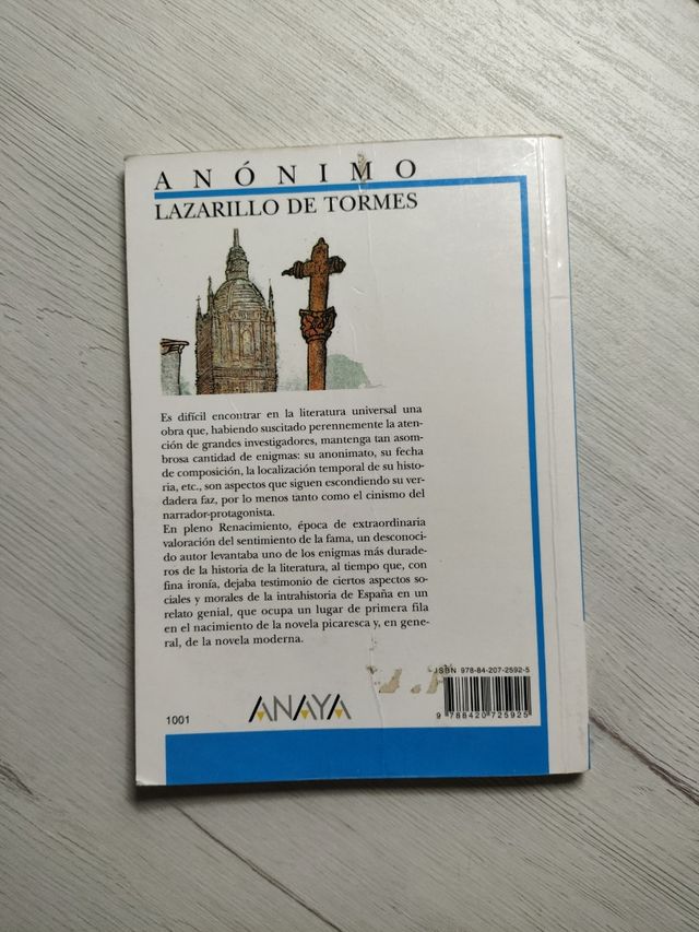 Lazarillo de Tormes (Biblioteca Didactica Anaya) (Spanish Edition)