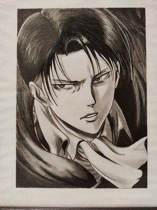 Disegno 