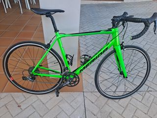 MERIDA SCULTURA 100 2019