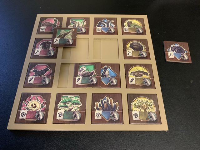 Inserto Darwin’s Journey