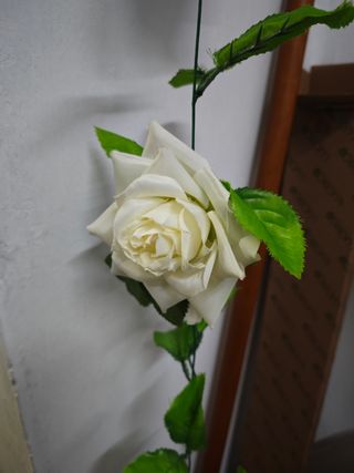 Guirnalda de rosas blanca