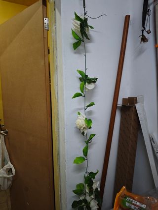 Guirnalda de rosas blanca