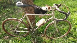 Bici ciclismo niño Rieju 