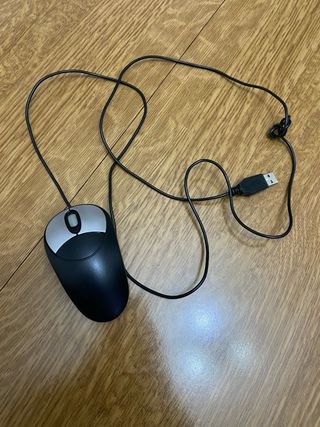 Mouse
