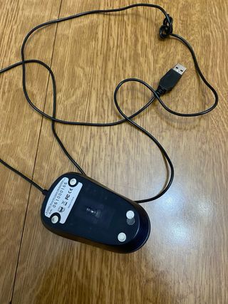 Mouse