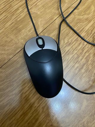 Mouse