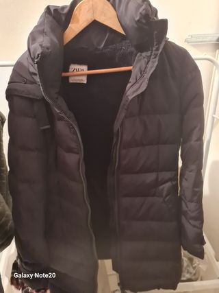 Plumifero zara