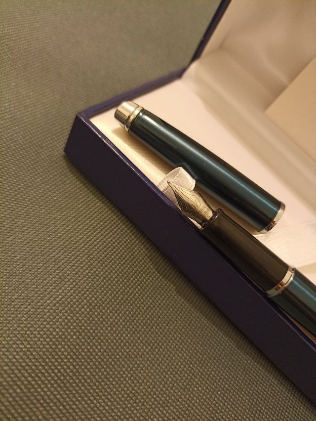 Penna stilografica Waterman