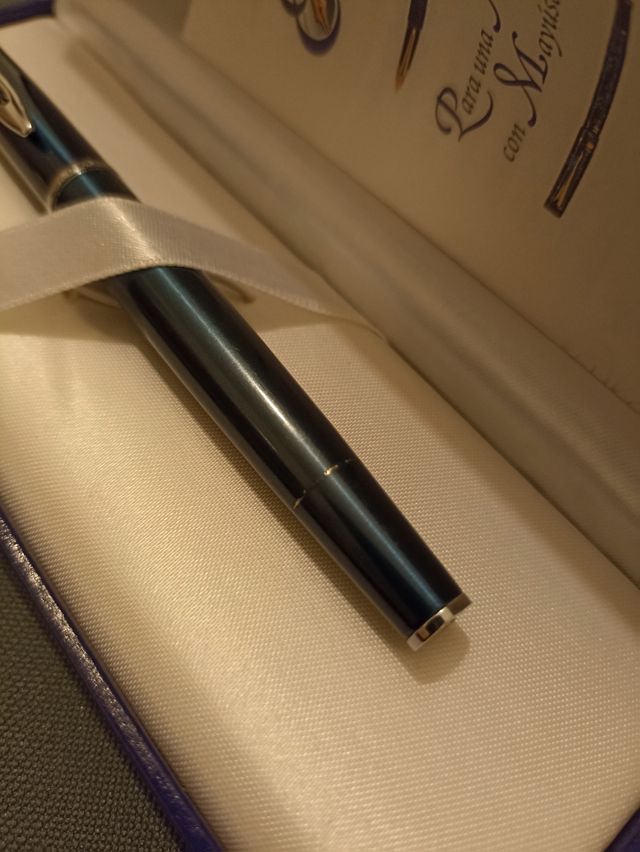 Penna stilografica Waterman