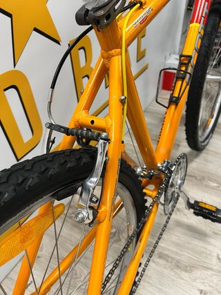 SCOTT 26’