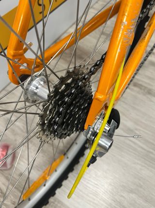SCOTT 26’