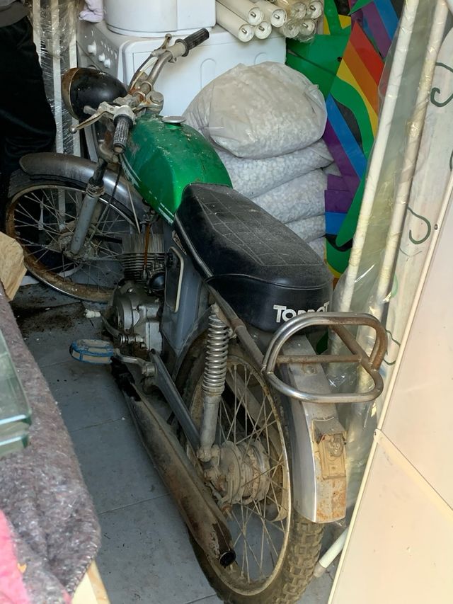 Torrot Panther clasica