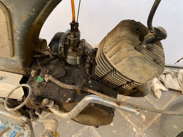 Torrot Panther clasica