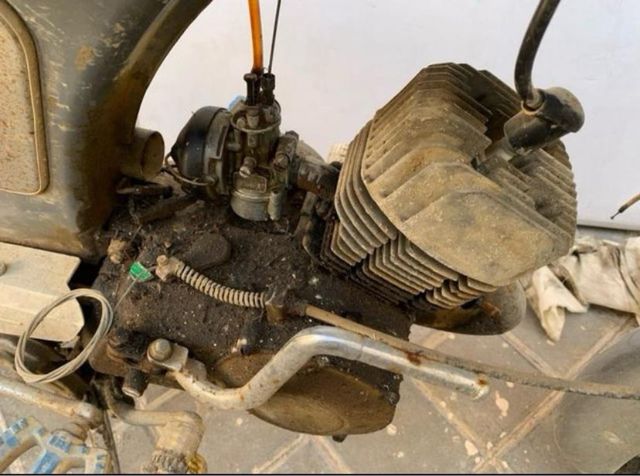 Torrot Panther clasica