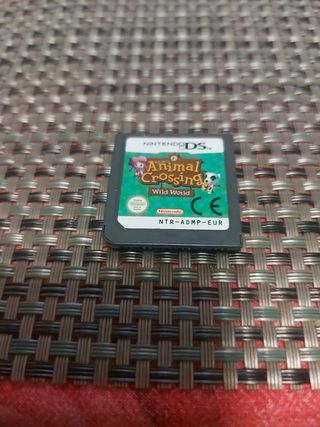 Nintendo ds