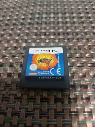 Nintendo ds