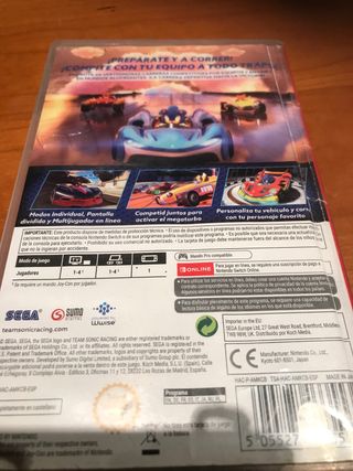 Team sonic racing