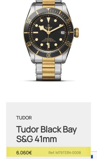 RELOJ TUDOR BLACK BAY ORO Y ACERO