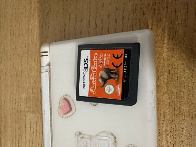 Nintendo DS lite funzionante