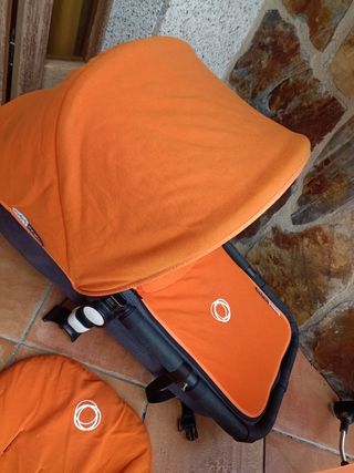 Conjunto invierno camaleón 