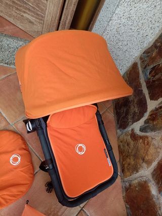 Conjunto invierno camaleón 