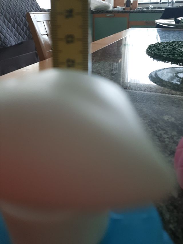 Dosatori per sapone liquido.