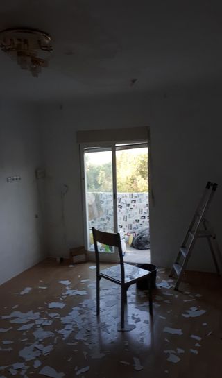 Pintor