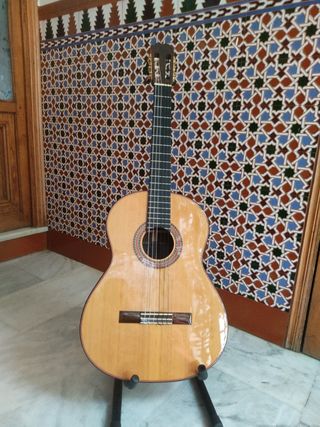 Guitarra española y funda
