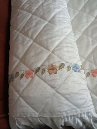 EDREDÓN REIG MARTÍ