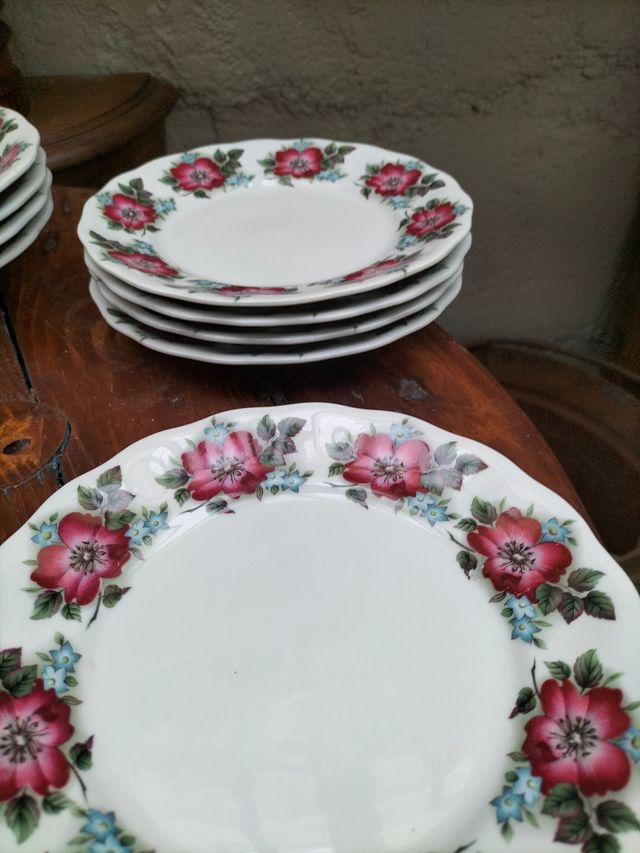 Lote platos vintage