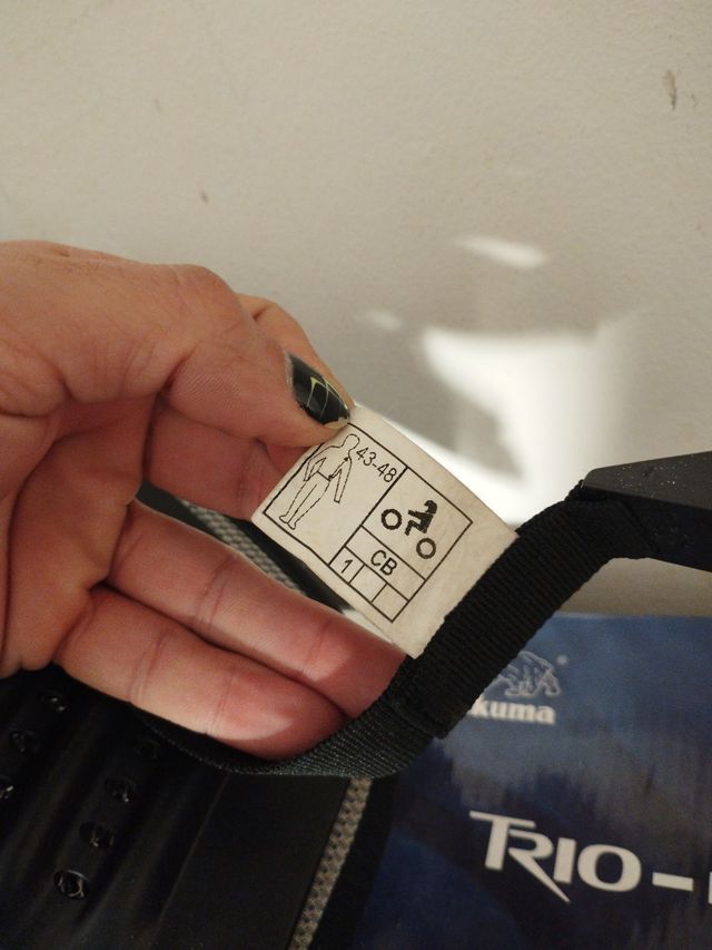 Protector espalda dainese