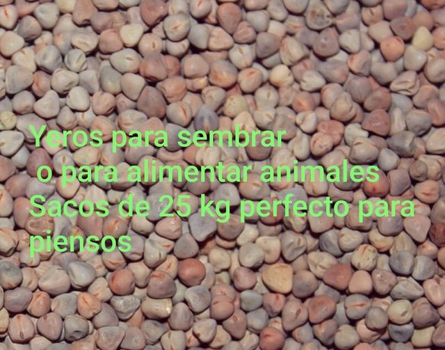 Yeros saco de 25 kg