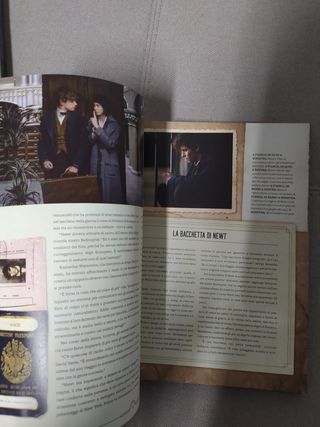 Animali fantastici e dove trovarli. La magia del film. Ediz. illustrata - Italian edition of Fantastic Beasts