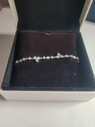 Pulsera Pandora Herbario Brillante 
