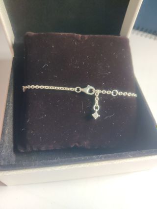 Pulsera Pandora Herbario Brillante 