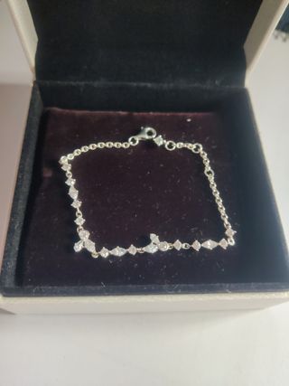 Pulsera Pandora Herbario Brillante 