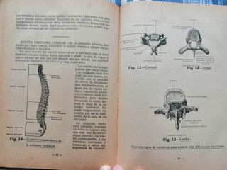Tratado de Anatomía Fisiología Humana José Varela