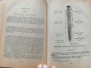 Tratado de Anatomía Fisiología Humana José Varela