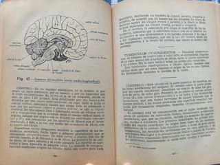 Tratado de Anatomía Fisiología Humana José Varela